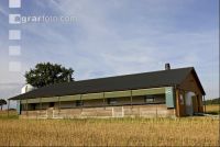 Schweinestall 1