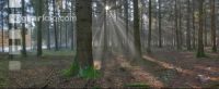 Lichtstrahlen 3
