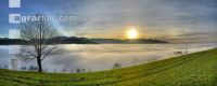 Nebel im Tal 1