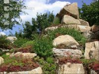Steingarten 10