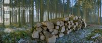 Holzstoss Panorama 3