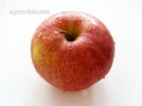 Apfel 1