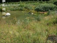 Gartenteich