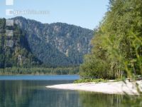 Almsee 2