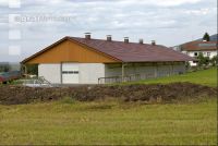 Hennenmast Stall 27
