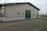Hennenmast Stall 22