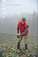 Bodenproben 7
