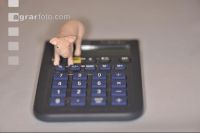 Finanzen Schweine 1