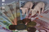 Finanzen Schweine 10