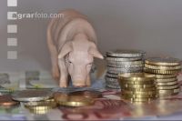 Finanzen Schweine 14