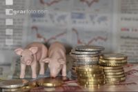 Finanzen Schweine 18