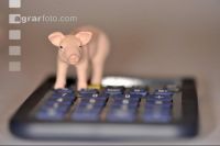 Finanzen Schweine 24