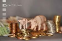 Finanzen Schweine 25