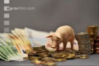 Finanzen Schweine 28