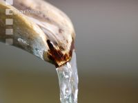 Fountain 5