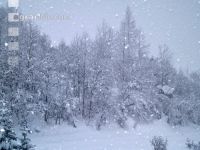 Schnee 6