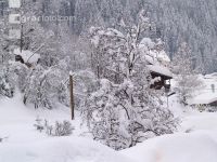 Schnee 5