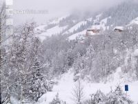 Schnee 4