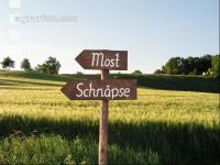 Mostheuriger Schild 2