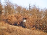Hochstand 12