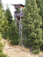 Hochstand 10