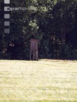Hochstand 9