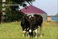 Biogasanlage J 12