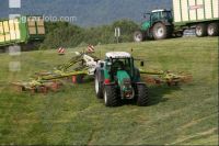 Gras Schwaden J 2
