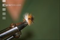 Fliegenbinden 5