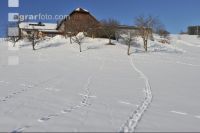 Wildwechsel 1