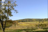 Weingarten Herbst 23