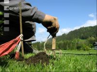 Vole trap 1