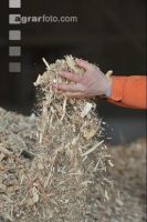 Wood chips 14