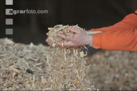 Wood chips 15