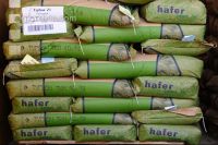 Hafer Saatgut 1