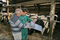 herd management J 1
