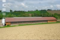 Schweinestall 12