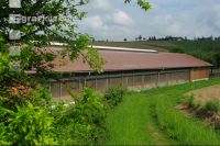 Schweinestall 14