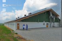 Bauplan Schweinestall 1