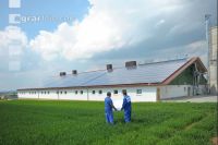Bauplan Schweinestall 11