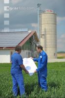 Bauplan Schweinestall 15