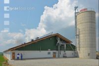 Bauplan Schweinestall 2