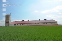 Schweinestall 31