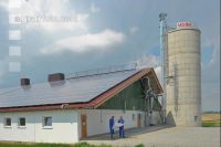 Bauplan Schweinestall 3
