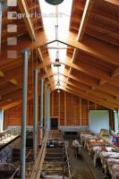 Braunvieh Laufstall 5