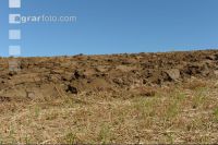 Soil 1