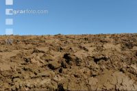 Soil 5
