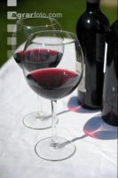 Rotwein 4