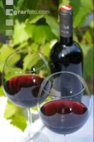 Rotwein 2
