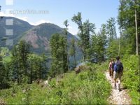 Wandern 12